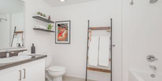 Vineyards Gallery 139