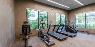 Mosaic Palms Gallery 9