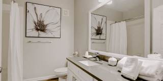 Finley at Fairfax Corner Gallery 34