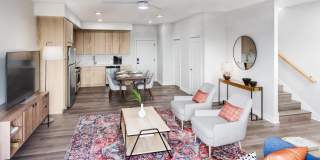 Heyday Aurora Gallery 3