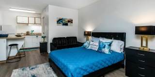 Vivo Living North Woods Gallery 20