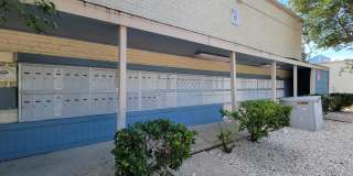 Banyan Cove Gallery 1