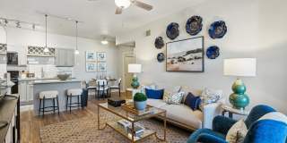 Somerset at Madison Gallery 1