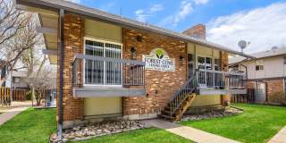 Forest Cove Gallery 2