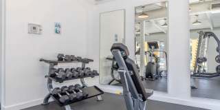 The Wexler Gallery 23