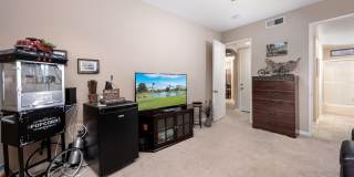 28914 Desert Princess Drive Gallery 16