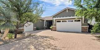 3123 E Cat Balue Drive Gallery 1