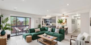 Grove at Alban Gallery 8