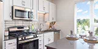 Avidor Omaha Gallery 21