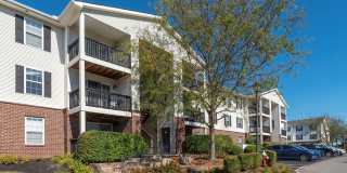 Sawmill Park Gallery 1