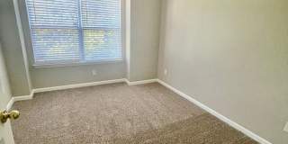 RoyalCeladon6454 Gallery 16
