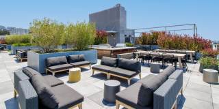 The Addison Berkeley Gallery 38