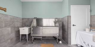 The Carlyle at Chatham Hills Gallery 21