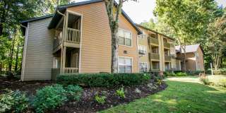 Park Trace Apartments Gallery 9