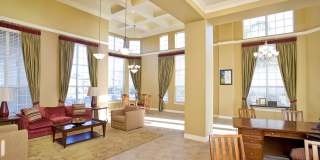 Costa Almadena Gallery 12