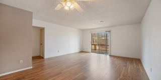 3 Walter Place Gallery 6