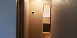222 Appaloosa Dr Gallery 8