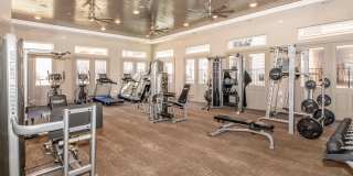 Ryze at Sunfield Gallery 18