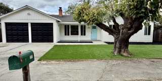 230 Cleaveland rd Gallery 1