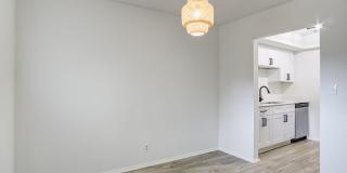 Palmetto Square Gallery 101