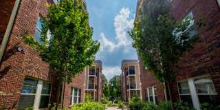 Monon Living Gallery 48