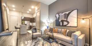 Windsor Turtle Creek Gallery 9