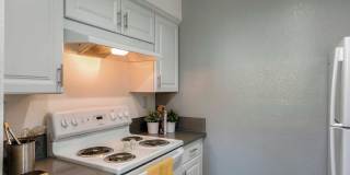 University Plaza Gallery 40