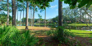 864 SHORELINE Circle Gallery 21