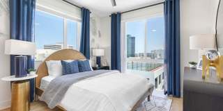 Tortoise One Gallery 10