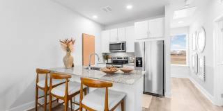 Alta Westinghouse Townhomes Gallery 4