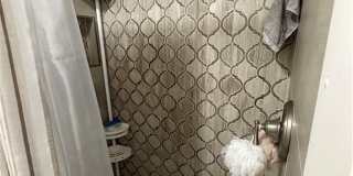 2330 SE 8th Terrace Gallery 14