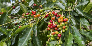 Luxurious Oceanview Getaway w/Private Pool & Spa and Serene Lanai - Piko Nani Gallery 60