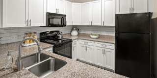 Conrad at Concord Mills Gallery 3