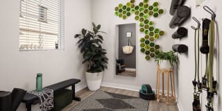 Homecoming at The Resort Apartments Gallery 21