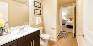 Liv Avenida Gallery 1