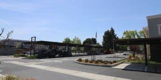 Ramblewood Apartments Gallery 22