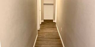 Spacious 3 bed/2 bath - walk to campus! Gallery 27