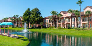 Las Palmas Gallery 8