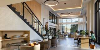 Avelle Gallery 20