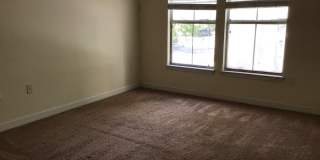Equestrain Park 2 bedroom + 2 bathroom condo Gallery 18