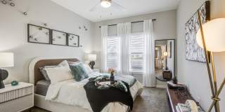 The Aster Gallery 18