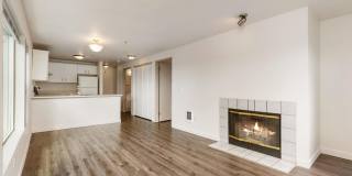 Alderview Apartments Gallery 317