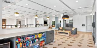 Ellison at the Preserve Gallery 34