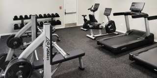 Atlas at St. George Gallery 12