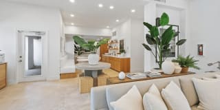 Coconut Palm Club Gallery 18