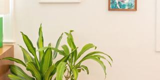 Bull St Bungalow Gallery 41