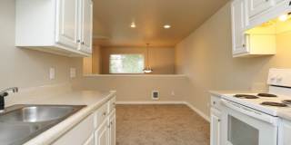 The Signature Gallery 31