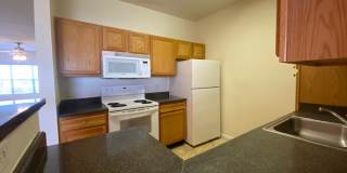 2 Bed 2 Bath 2nd Floor Condo (Palms of Cortez) Gallery 11