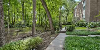 The Forest Apartments Gallery 37