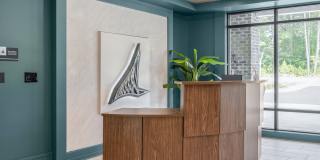 The Canopy Gallery 56